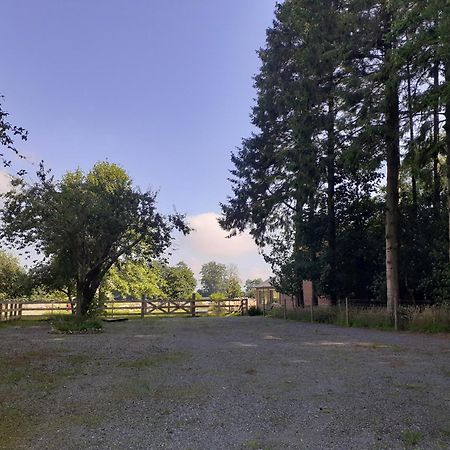 Les Gites Du Chateau De Maltot Saint-Ouen-du-Breuil Esterno foto